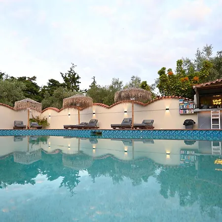 Ξενοδοχείο με διαμερίσματα Aggelos Grand Κουκουναριές