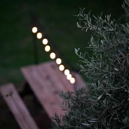 Aparthotel Aggelos Grand